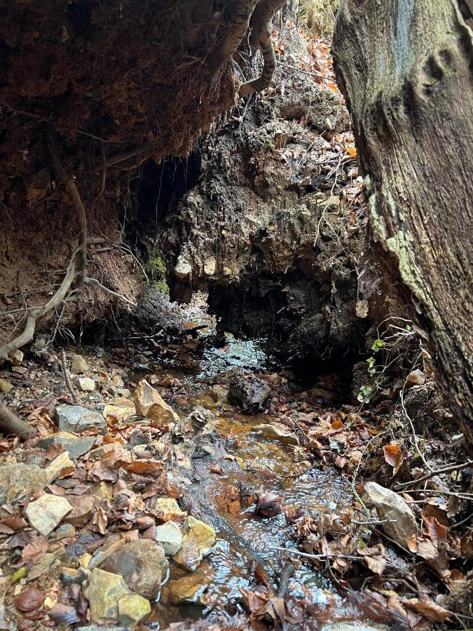 ホテル Hartridge Springs ホニートン エクステリア 写真