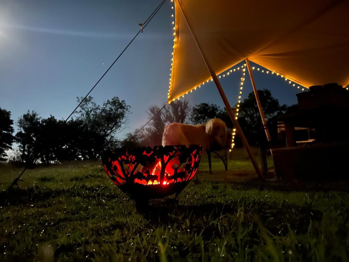 ホテル Hartridge Springs ホニートン エクステリア 写真